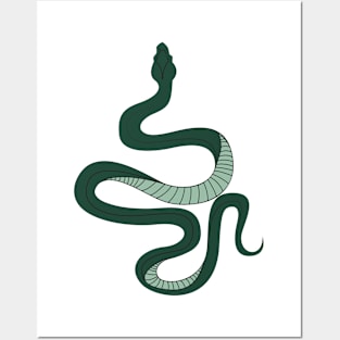 Green Snake Posters and Art